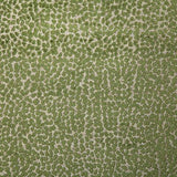 Pindler COLE PALM Fabric