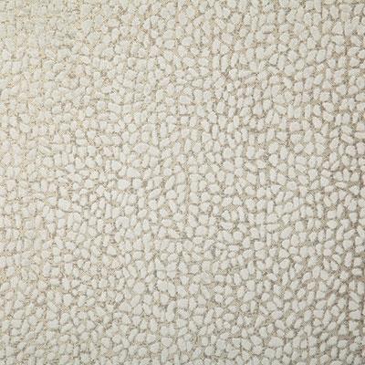 Pindler COLE TUSK Fabric