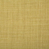 Pindler PALOMA CITRUS Fabric