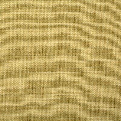 Pindler PALOMA CITRUS Fabric