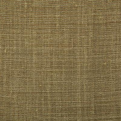 Pindler PALOMA MOSS Fabric