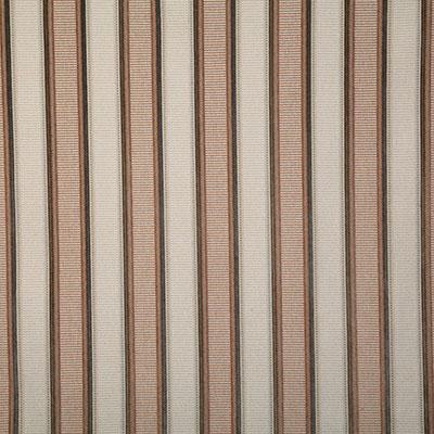 Pindler TUBAC DESERT Fabric