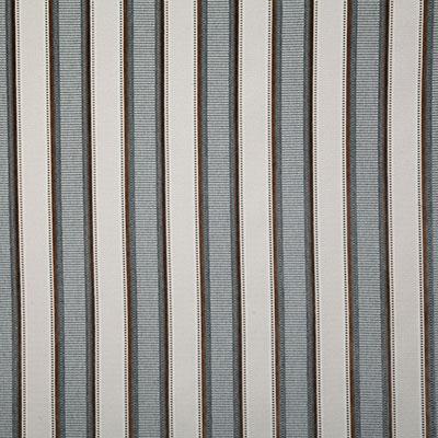 Pindler TUBAC LAKESIDE Fabric