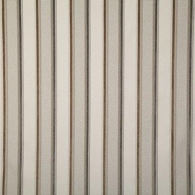Pindler TUBAC PEBBLE Fabric