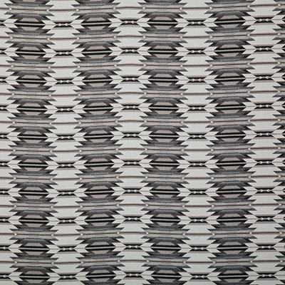 Pindler WYETH TRAIL STONE Fabric