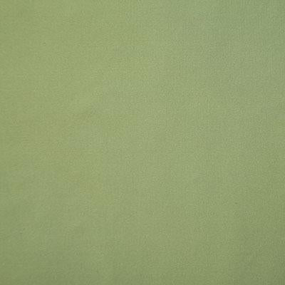 Pindler STANFORD SPRING Fabric