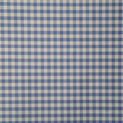 Pindler SHELBY DELFT Fabric