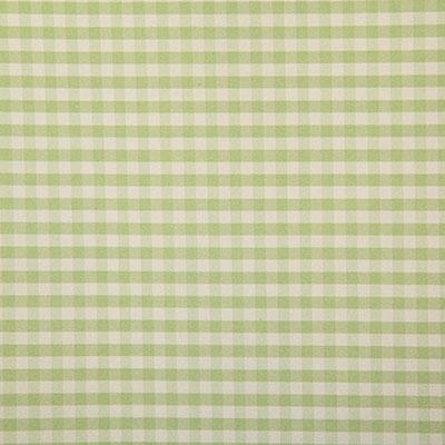 Pindler SHELBY SPRING Fabric