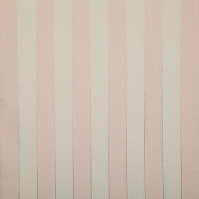 Pindler SHAY CAMEO Fabric