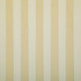 Pindler SHAY GOLDEN Fabric