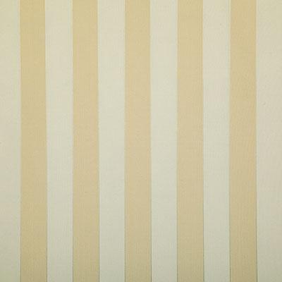 Pindler SHAY GOLDEN Fabric