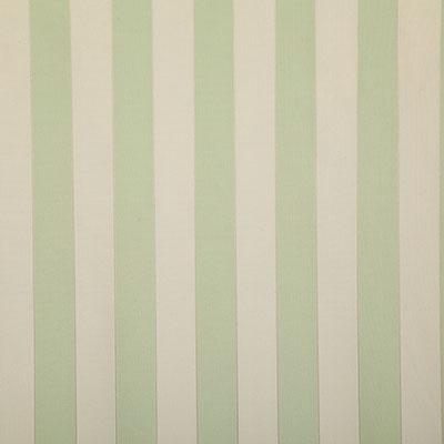 Pindler SHAY SPRING Fabric