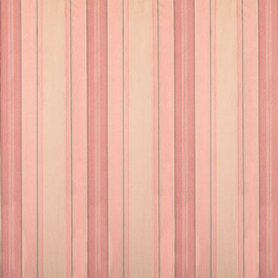 Pindler SHERIDAN CAMEO Fabric