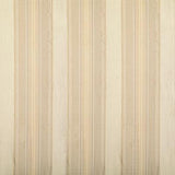 Pindler SHERIDAN PUMICE Fabric