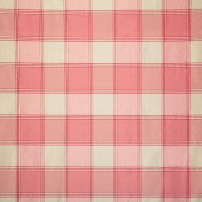 Pindler SHANE CAMEO Fabric