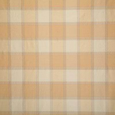 Pindler SHANE GOLDEN Fabric