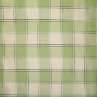 Pindler SHANE SPRING Fabric