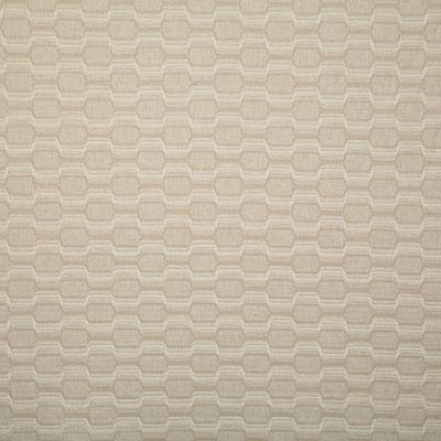 Pindler PETER NATURAL Fabric