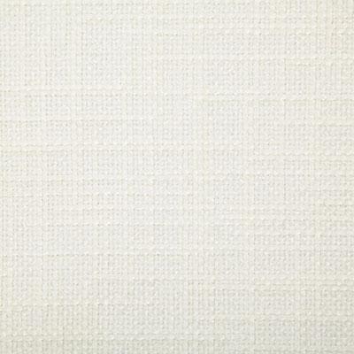 Pindler BAKER SNOW Fabric