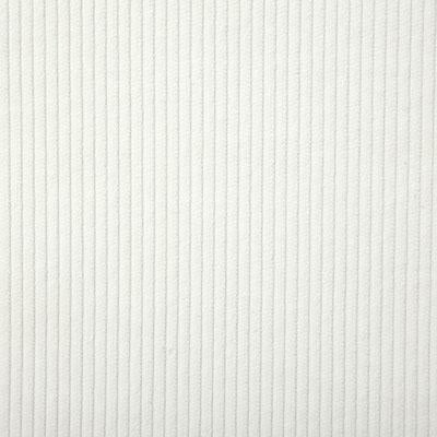Pindler CORDUROY CLOUD Fabric