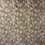 Pindler PARAGON TAUPE Fabric
