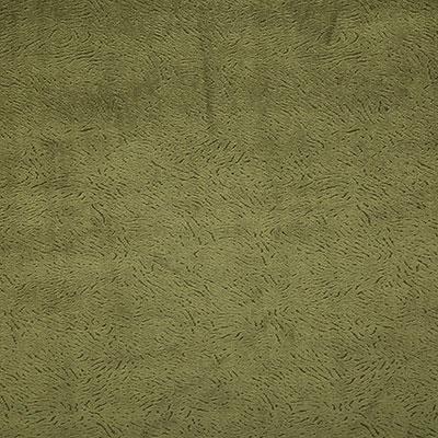Pindler MULTON MOSS Fabric