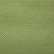 Pindler ROVER KIWI Fabric