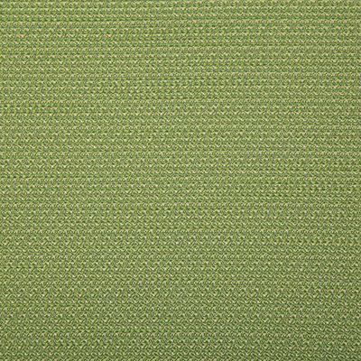 Pindler ROVER KIWI Fabric