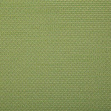 Pindler ROVER KIWI Fabric
