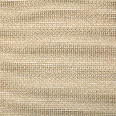 Pindler ROVER STRAW Fabric