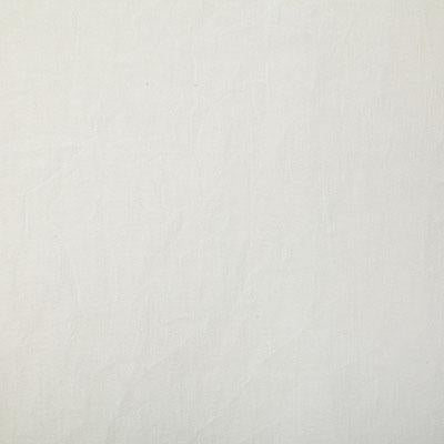 Pindler RESTON SNOW Fabric