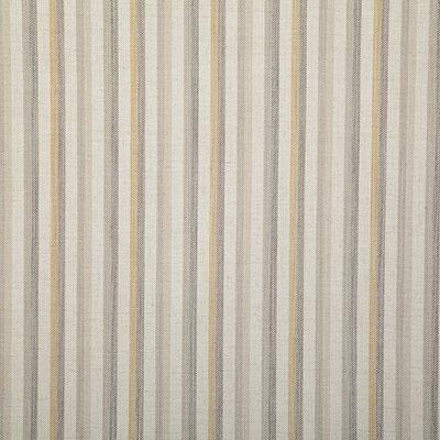 Pindler PAUL METAL Fabric