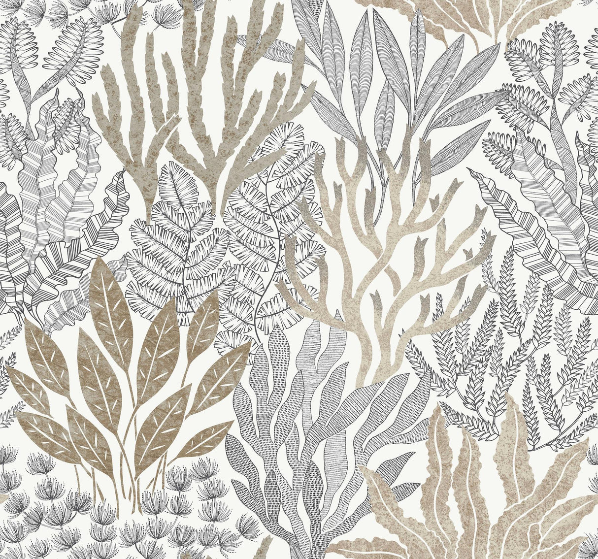 York Wallcoverings Coral Leaves Taupe and Black Beige Wallpaper