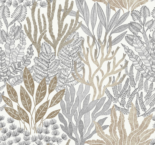 York Wallcoverings Coral Leaves Taupe and Black Beige Wallpaper