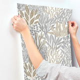 York Wallcoverings Coral Leaves Taupe And Black Beige Wallpaper