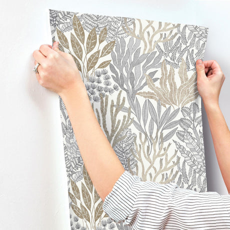 York Wallcoverings Coral Leaves Taupe And Black Beige Wallpaper