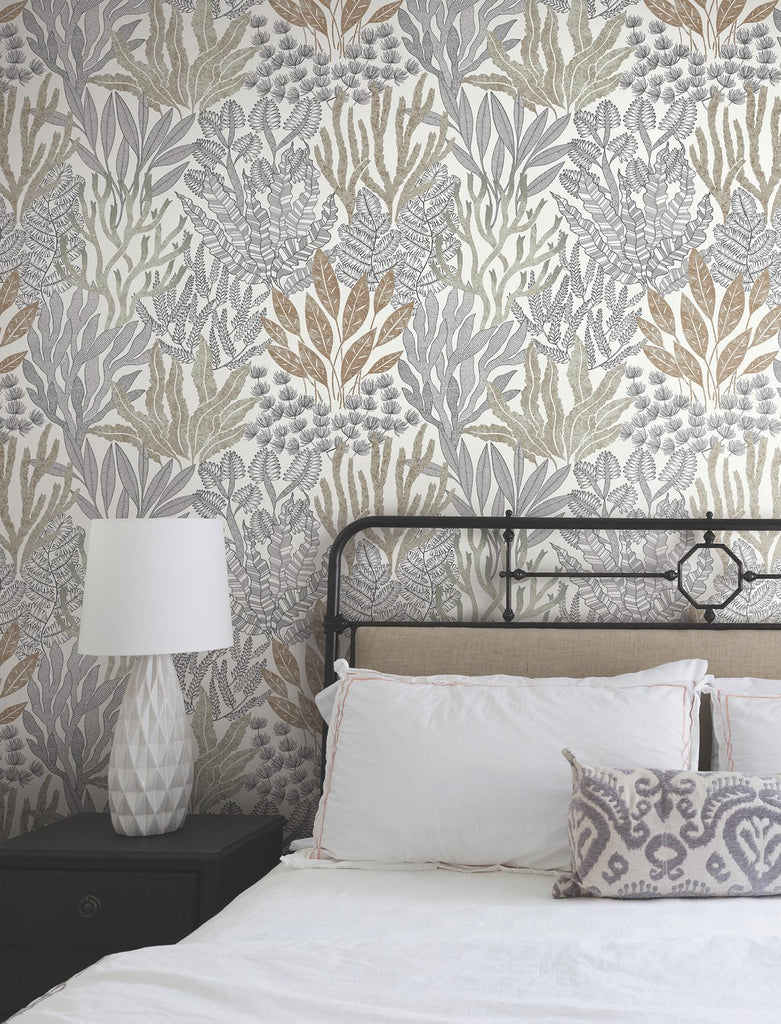 York Wallcoverings Coral Leaves Taupe And Black Beige Wallpaper