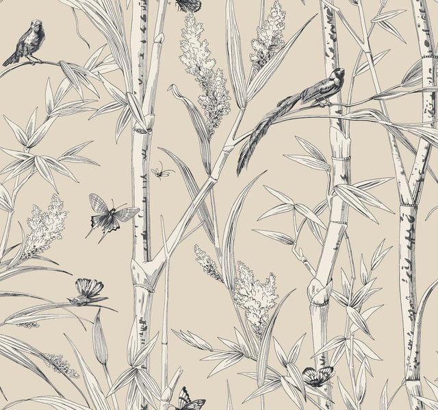 York Wallcoverings Bambou Toile Beige Beige Wallpaper