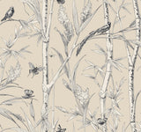 York Wallcoverings Bambou Toile Beige Beige Wallpaper
