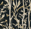 York Wallcoverings Bambou Toile Black Black Wallpaper