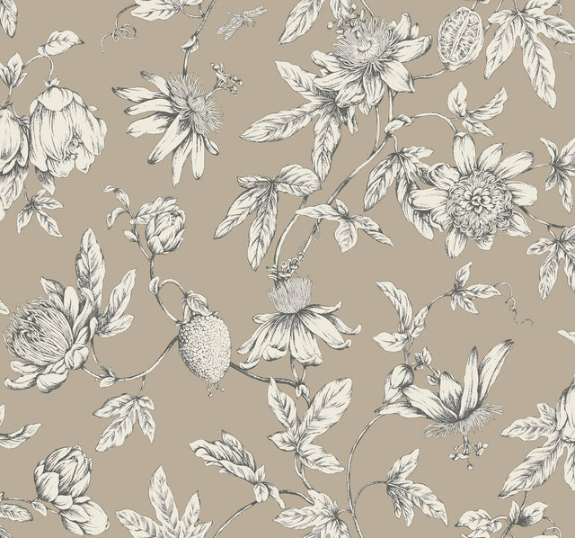 York Wallcoverings Passion Flower Toile Linen Brown Wallpaper