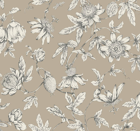 York Wallcoverings Passion Flower Toile Linen Brown Wallpaper