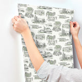 York Wallcoverings Modern Vista Toile Evergreen Green Wallpaper