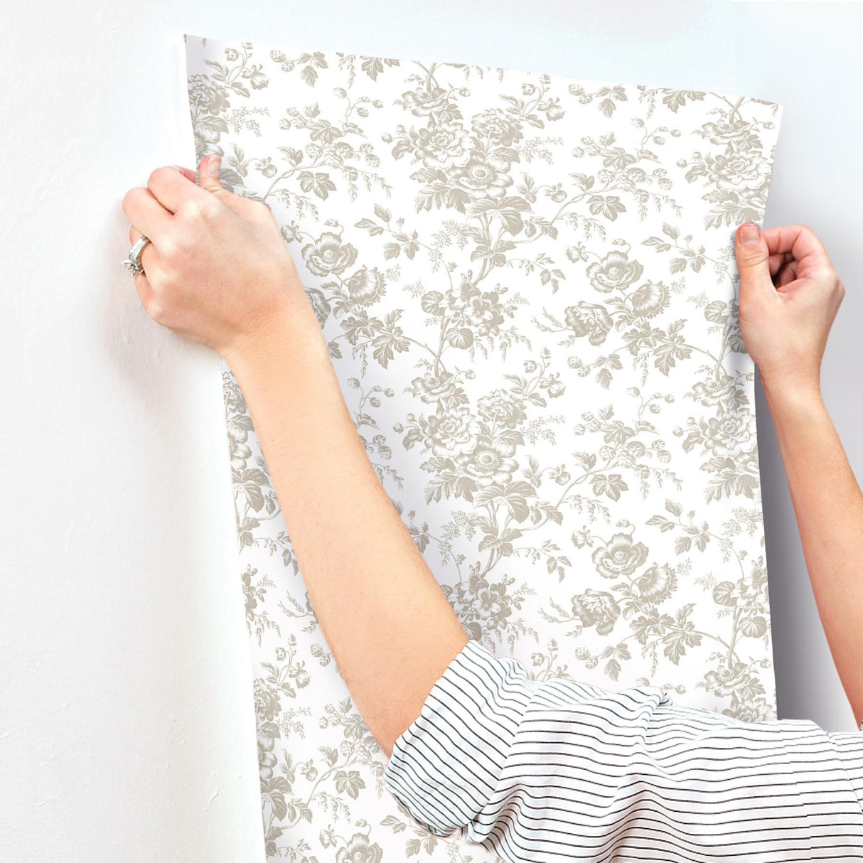 York Wallcoverings Anemone Toile Taupe Beige Wallpaper