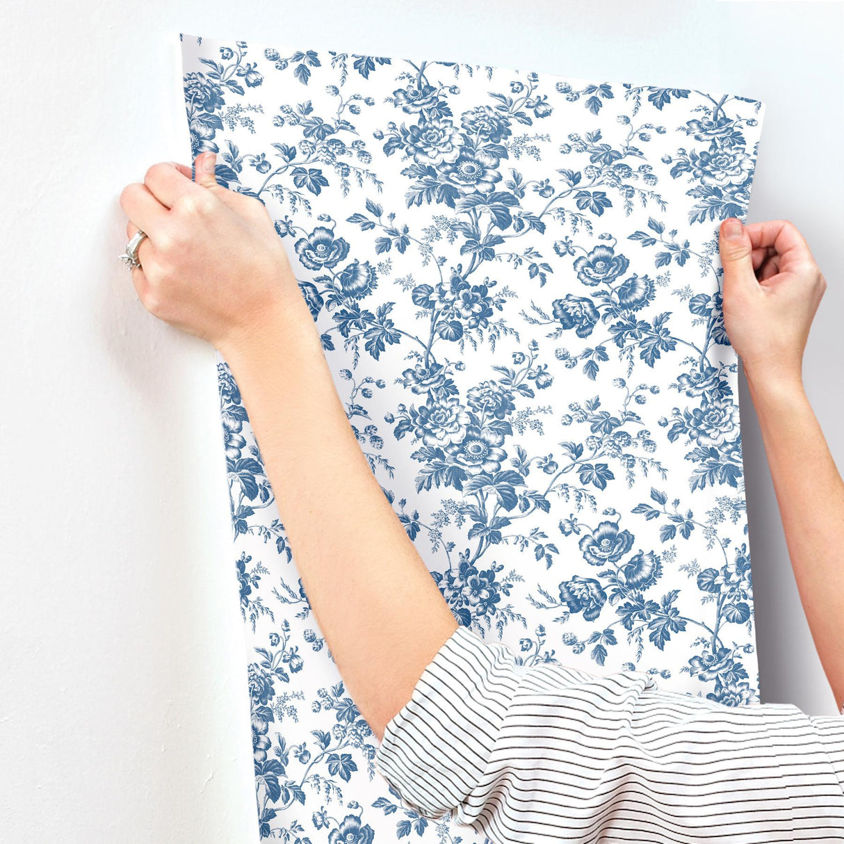 York Wallcoverings Anemone Toile Navy Blue Wallpaper