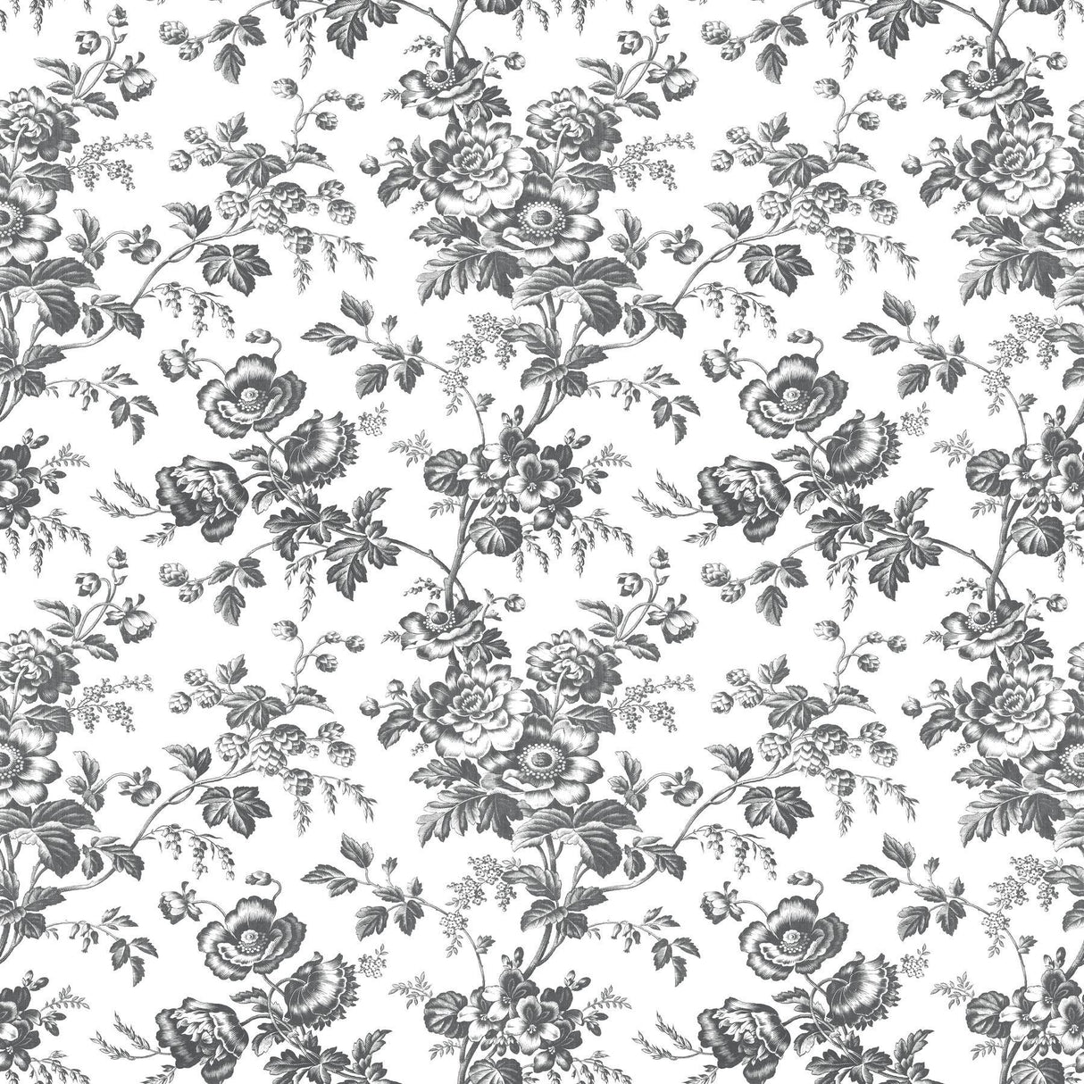 York Wallcoverings Anemone Toile Black Black Wallpaper