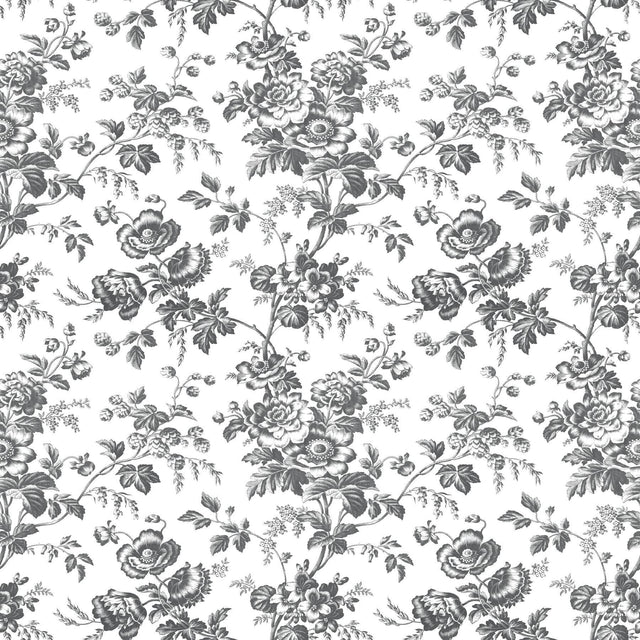 York Wallcoverings Anemone Toile Black Black Wallpaper