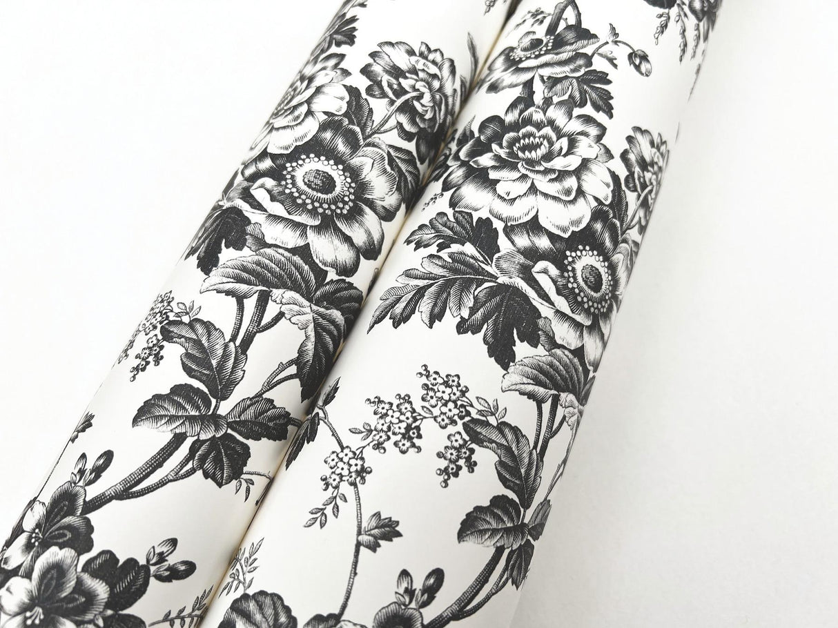 York Wallcoverings Anemone Toile Black Black Wallpaper