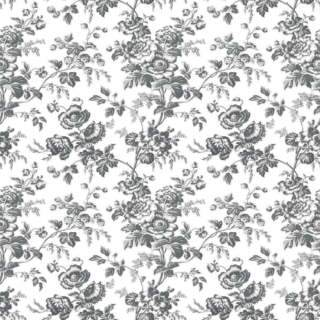 York Wallcoverings Anemone Toile Black Black Wallpaper