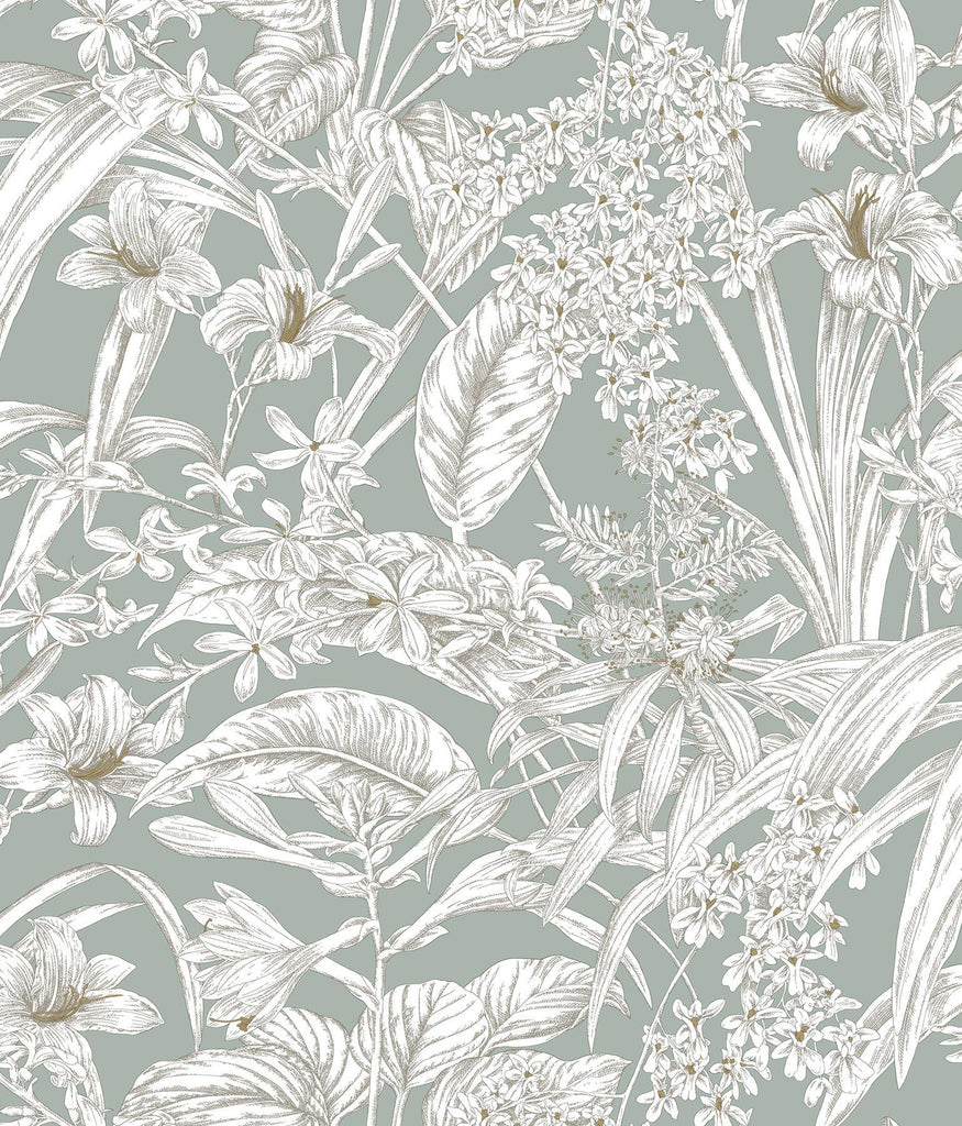 York Wallcoverings Orchid Conservatory Toile Seamist and Taupe Blue Wallpaper